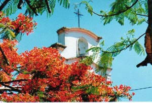 iglesia con flores.jpg